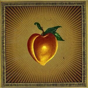 Ninja Gun - Restless Rubes  CD